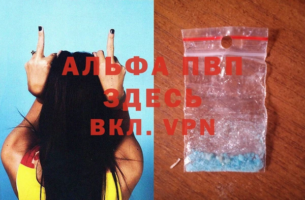 стафф Кодинск
