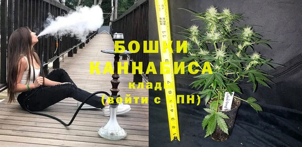стафф Кодинск