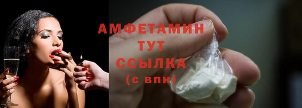стафф Кодинск