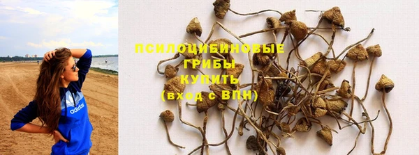 дживик Козловка