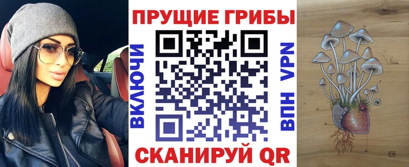Галлюциногенные грибы мицелий  Купить закладки  Питкяранта 