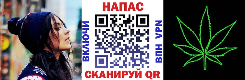 МАРИХУАНА план  Купить где  Питкяранта 